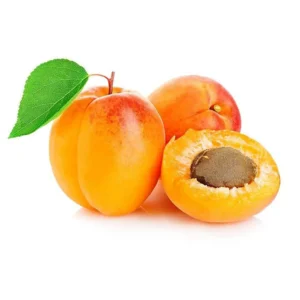 Apricot