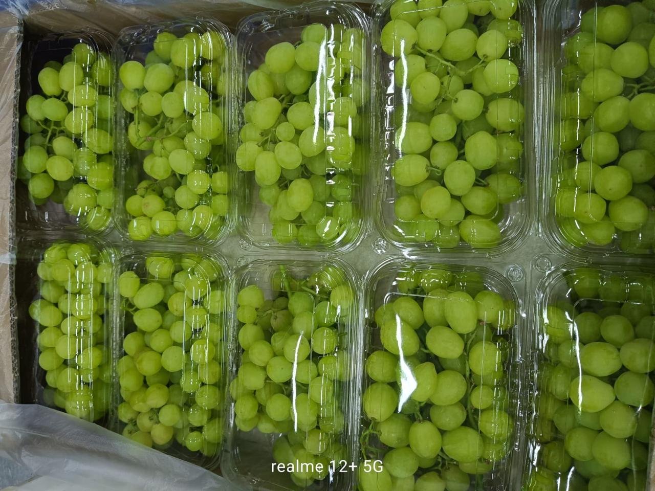 Grapes - Image 2