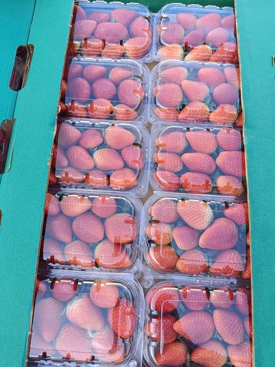 Strawberries - Image 2